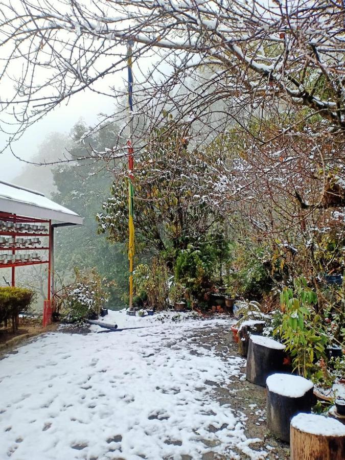 Hermit Retreat Darjeeling  Luaran gambar